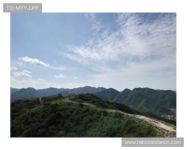 多米体育注册遇到问题怎么办全面解决注册过程中常见的错误与解决方案