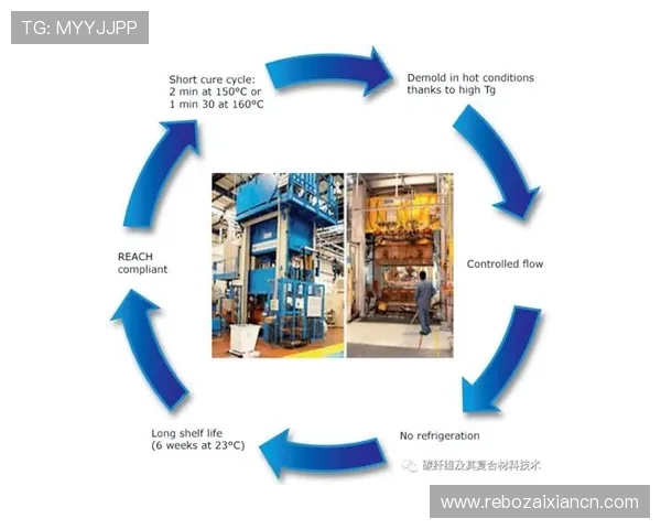 明发体育在体育娱乐行业中的创新模式与未来发展潜力